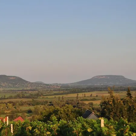 Balatoni Zoeldkapus Vendeghaz Holiday home Lesencetomaj